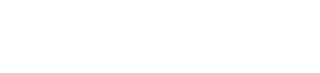 beringsport logo hvid