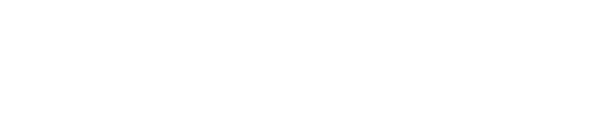 beringsport logo hvid